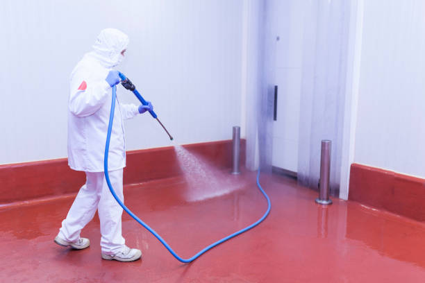 Best Gutter Cleaning and Brightening in Rotan, TX